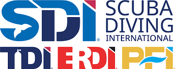 SDI / TDI