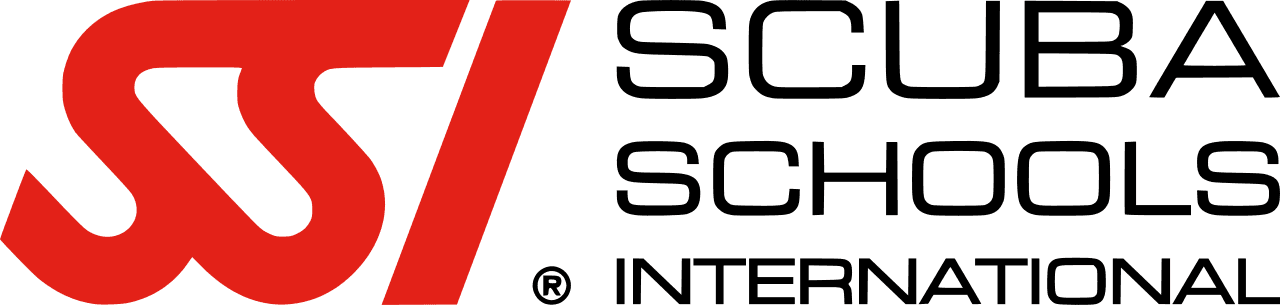 SSI